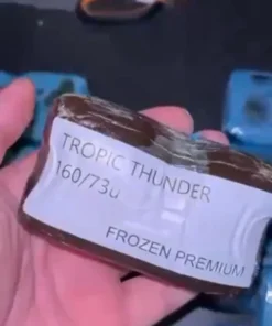12 – #2 TropicThunder 160/73u Hasch