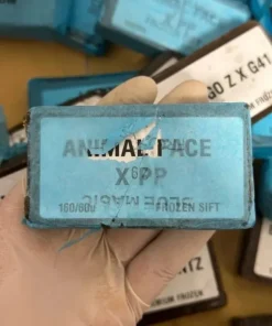 Animal Face x PP 160/60u hasch