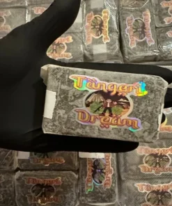 Tangerine Dream Filtered Hasch kaufen | Premium Filtered Hash